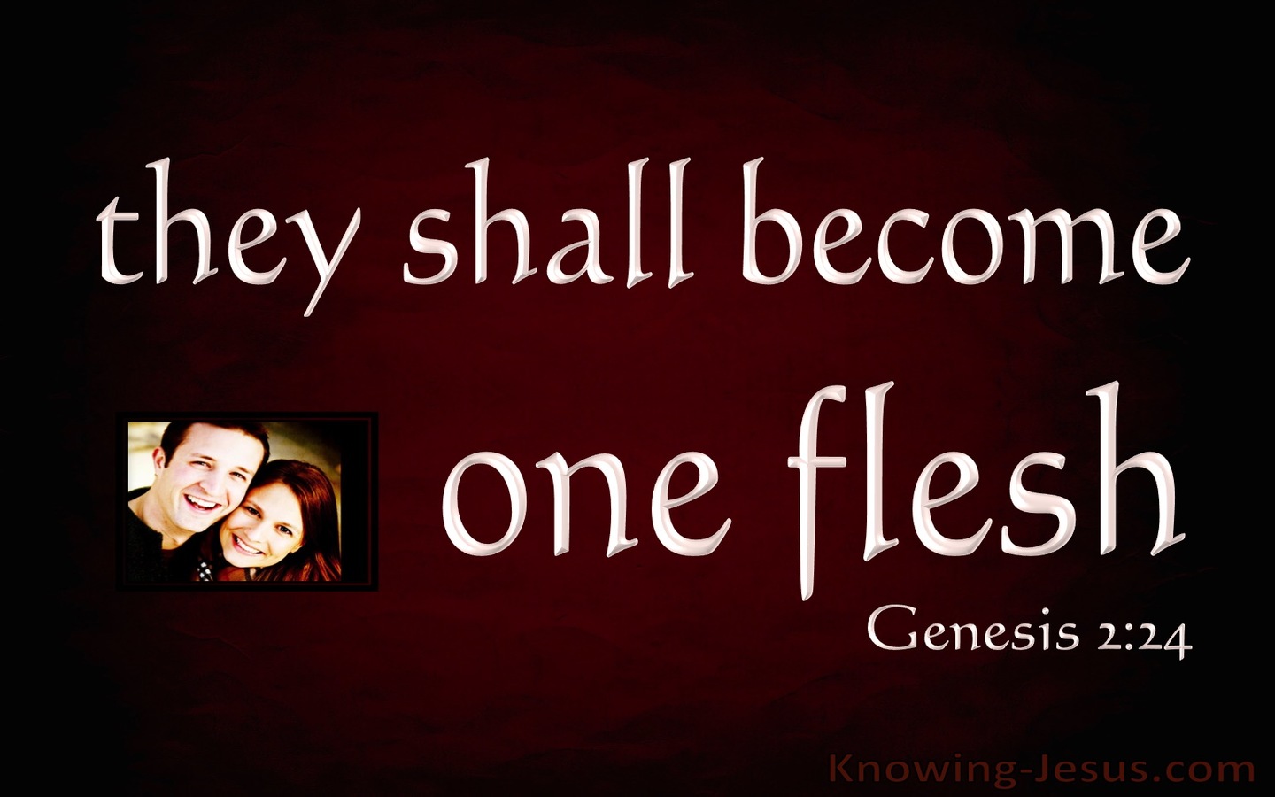 Genesis 2:24 Joined Together As One Flesh (maroon)